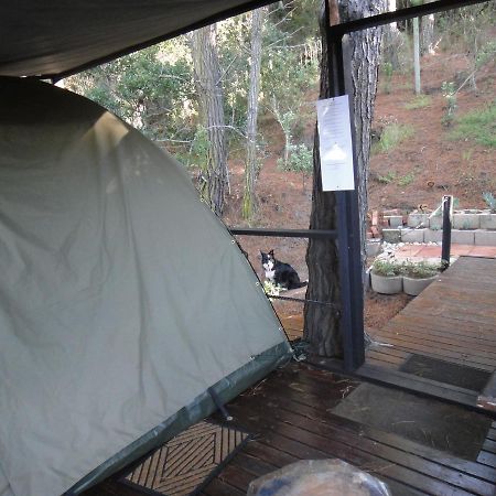 Eagles' Call Cottages And Tent Wildernis Zewnętrze zdjęcie