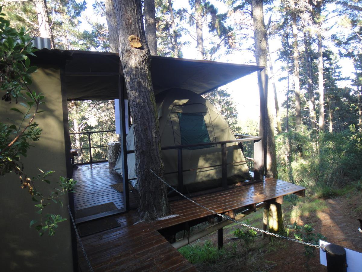 Eagles' Call Cottages And Tent Wildernis Zewnętrze zdjęcie