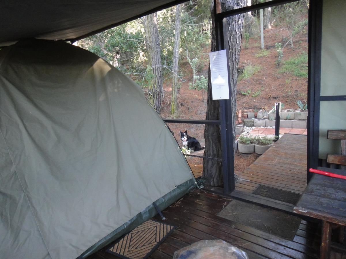 Eagles' Call Cottages And Tent Wildernis Zewnętrze zdjęcie