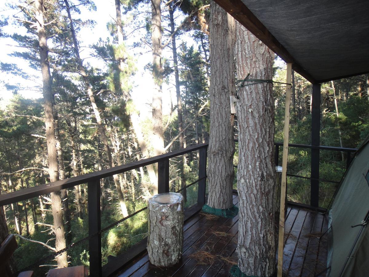 Eagles' Call Cottages And Tent Wildernis Zewnętrze zdjęcie